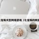 七龙珠大型网络游戏（七龙珠的网游）